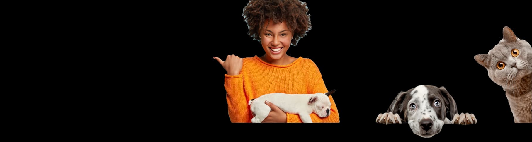 Woof Slider Image